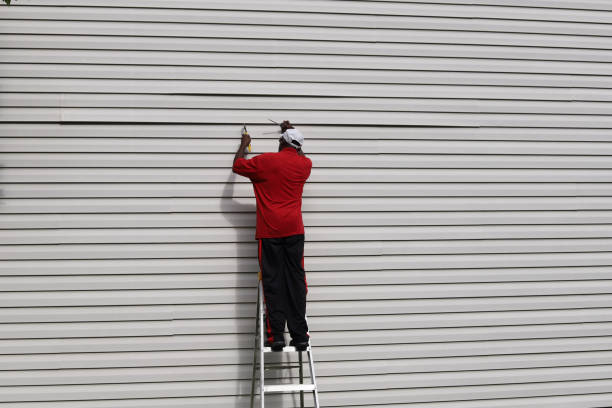 Best Steel Siding Installation  in Flomaton, AL