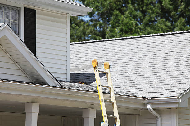 Best Fascia and Soffit Installation  in Flomaton, AL